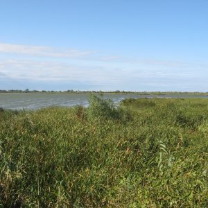 Pogled na Carsku baru