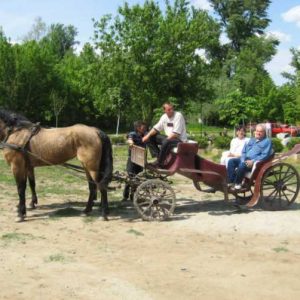 Salas Stremen fijaker